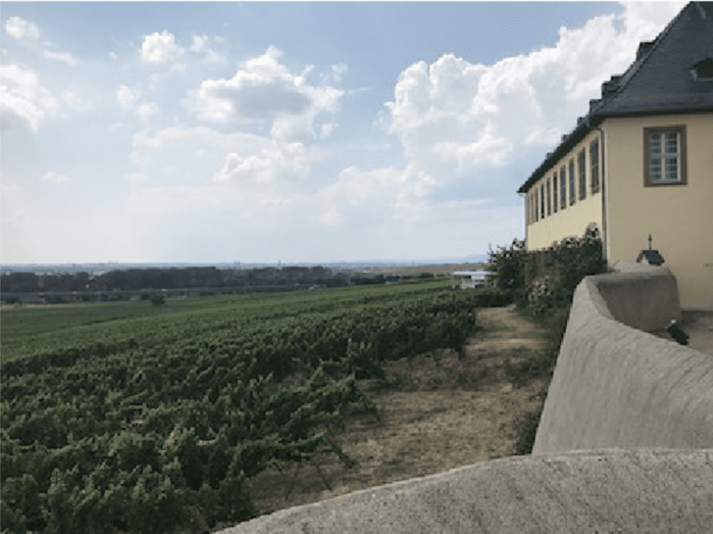 Wine Region